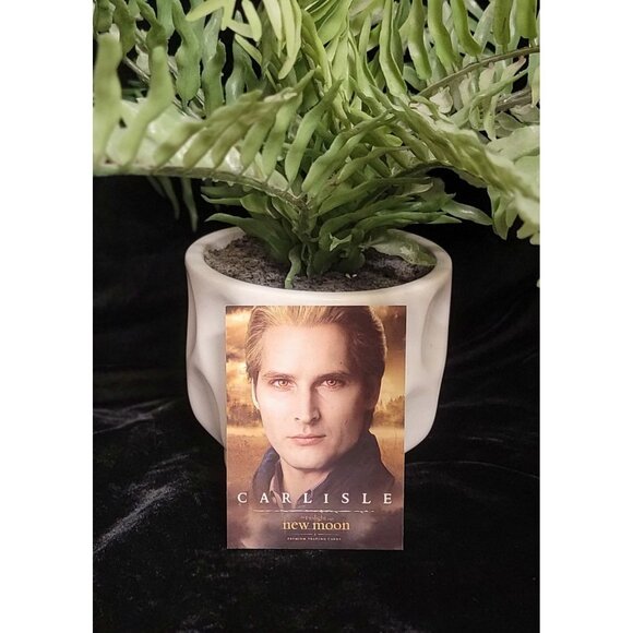 Collectible Carlisle Cullen New Moon Trading Card - Picture 3 of 6